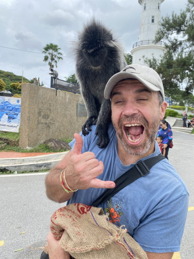 While the silvered leaf monkeys were polite, the long-tailed macaques were a different story! These mischievous little guys were always on the lookout for snacks. One even tried to grab a phone! Travel tip: Hold onto your belongings because these guys are sneaky! 