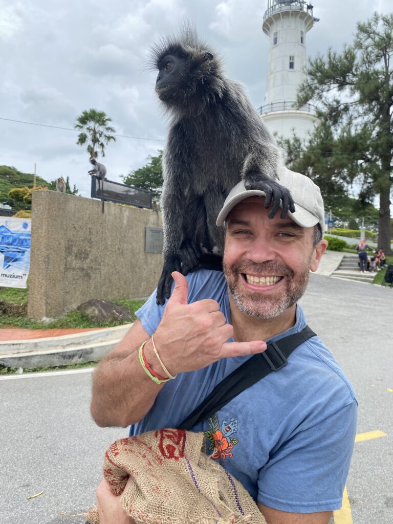 While the silvered leaf monkeys were polite, the long-tailed macaques were a different story! These mischievous little guys were always on the lookout for snacks. One even tried to grab a phone! Travel tip: Hold onto your belongings because these guys are sneaky! 