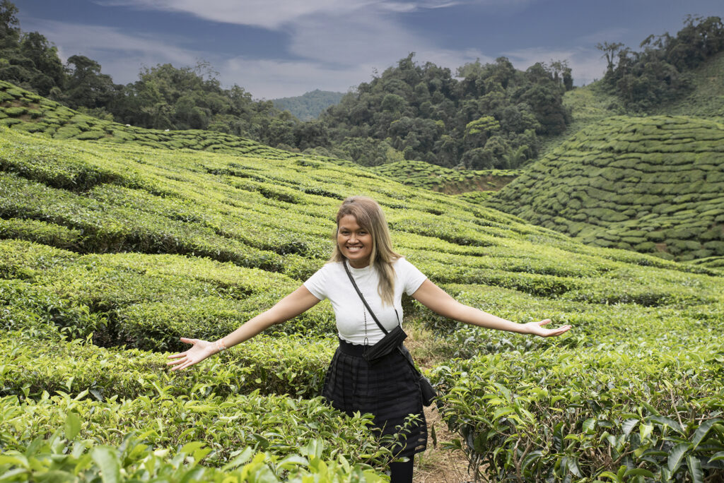 Cameron Highlands travel guide