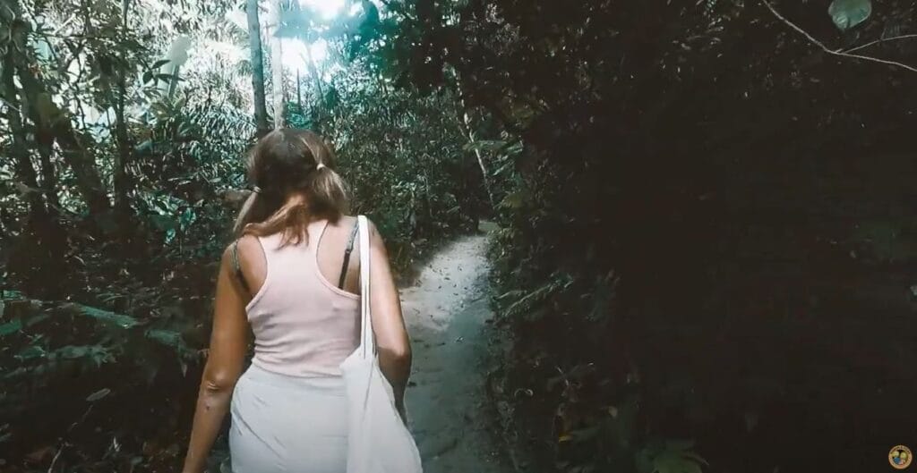 Taman Tugu - Best things to do in Kuala Lumpur