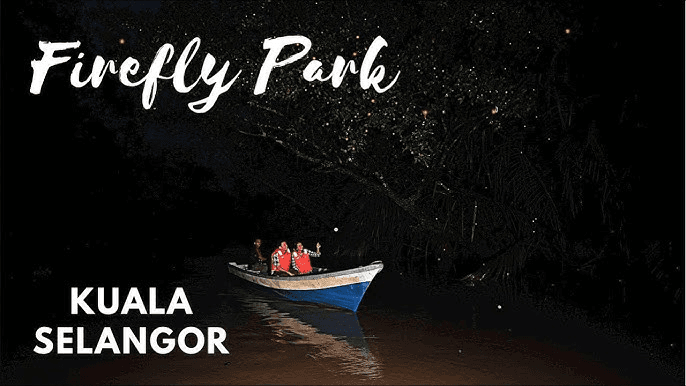 12 Best Things To Do in Selangor, Malaysia – A Local’s Guide to Hidden Gems & Must-Sees 2 Fireflies / Best things to do in Selangor