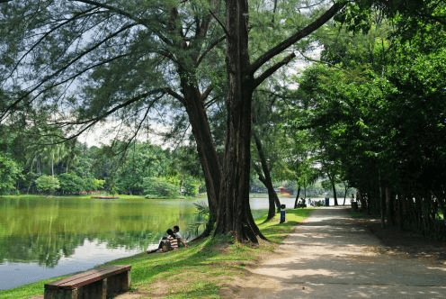 12 Best Things To Do in Selangor, Malaysia – A Local’s Guide to Hidden Gems & Must-Sees 11 Shah Alam Lake Gardens / Best things to do in Selangor