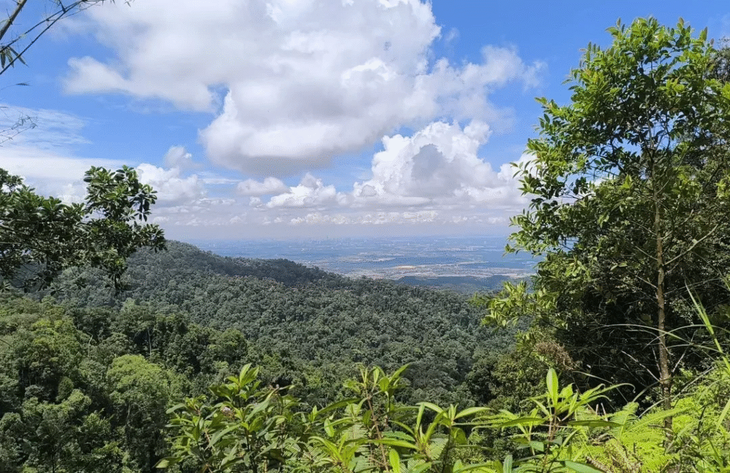 Gunung Pulai Recreational Forest