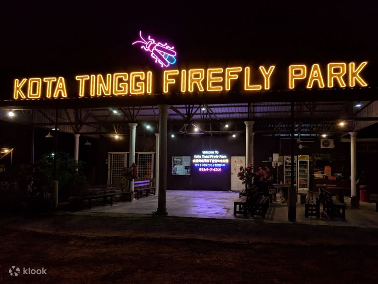 Kota Tinggi Firefly Cruise – Nighttime Magic