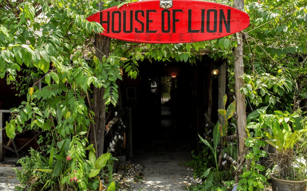 Kedah's Hidden Gems: Accommodations for Every Budget 3 House of Lion Hostel – Langkawi (Kedah's Hidden Gems)