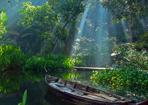 Best Sightseeing in Penang: 15 Must-See Spots for Every Type of Traveler (Updated 2025) 12 Best Sightseeing in Penang