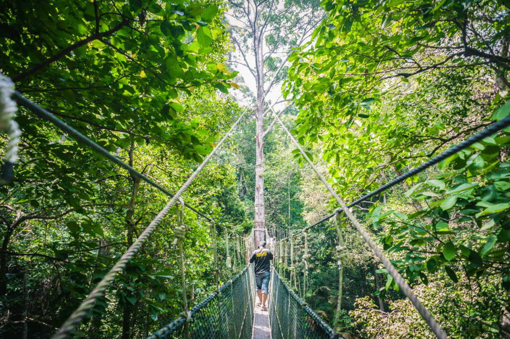 Best Sightseeing in Penang: 15 Must-See Spots for Every Type of Traveler (Updated 2025) 14 Best things to do in Penang