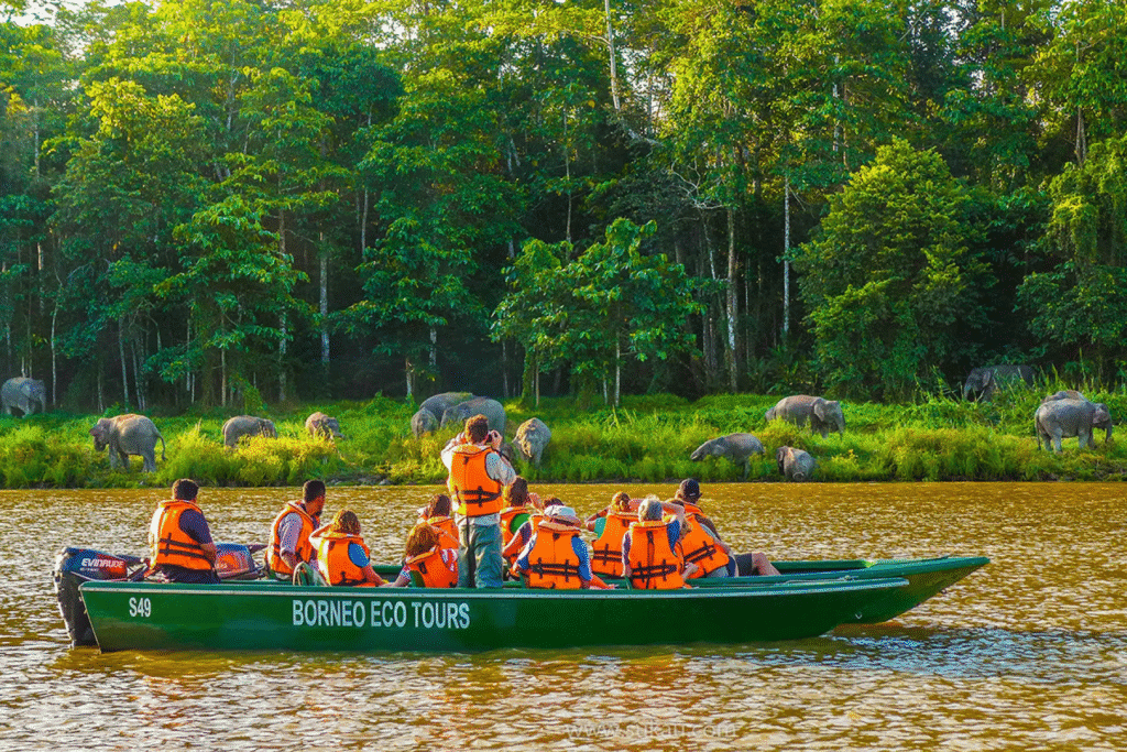 10 Best Sightseeing in Sabah You Can’t Miss (With Insider Tips!) 6 Best Sightseeing in Sabah