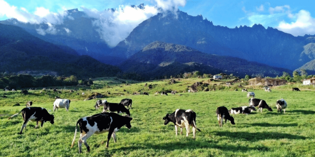 10 Best Sightseeing in Sabah You Can’t Miss (With Insider Tips!) 9 Best Sightseeing in Sabah