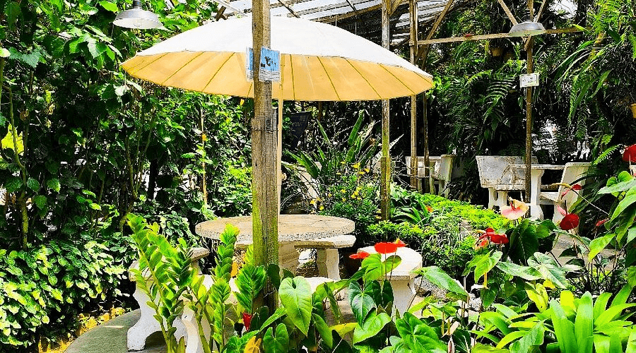 Top 9 of The Best Cafes in Pahang You Need to Visit (2025 Guide) 8 Best Cafes in Pahang