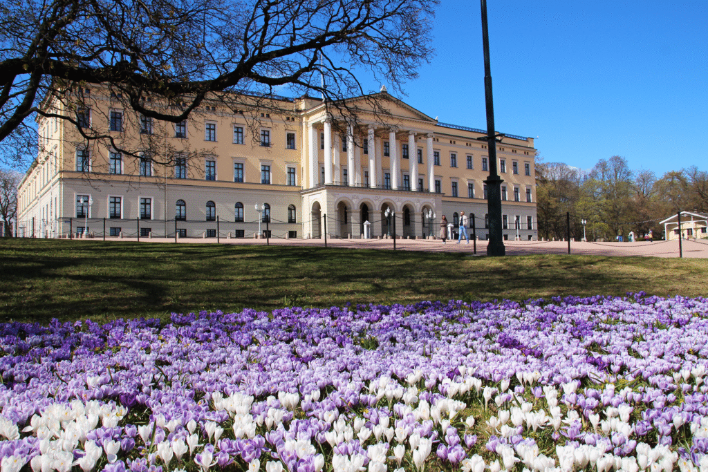 10 Best Sightseeing in Oslo: A Local and Traveler's Guide to Norway’s Cool Capital 11 image 112