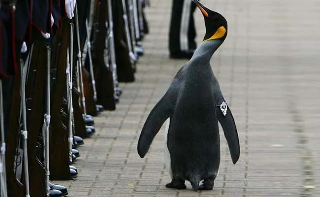 15 Fun Facts About Norway You (Probably) Didn’t Know! 2 Fun Facts About Norway