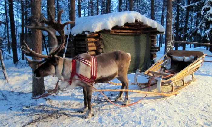 15 Fun Facts About Norway You (Probably) Didn’t Know! 8 image 119