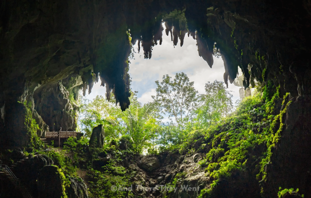 The 10 Best Sightseeing in Sarawak You Can’t Miss (Hidden Gems + Must-Sees!) 8 Best Sightseeing in Sarawak