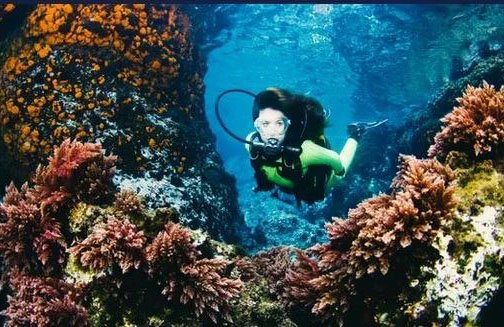 Spice Divers Perhentian Kecil