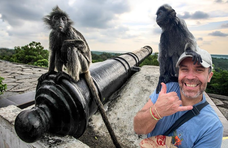 Bukit Melawati monkey feeding