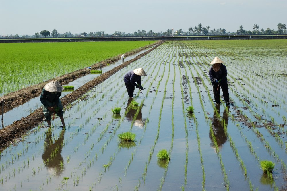 Authentic Malaysia Tour Package