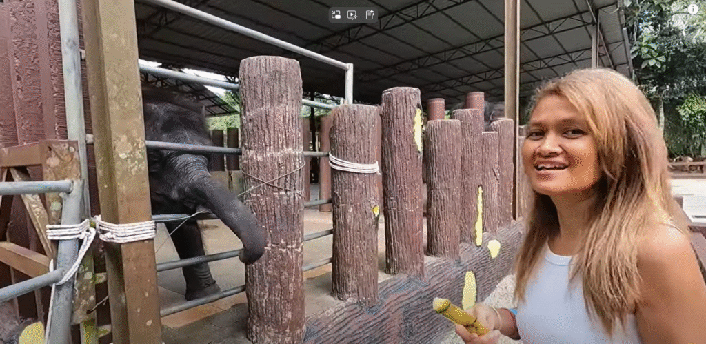 Elephant Sanctuary in Pahang