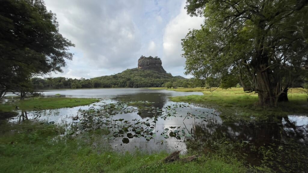 Travel Blogging Camera Gear Setup 2026