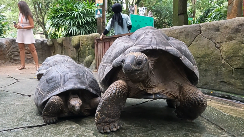 Farm In The City Selangor