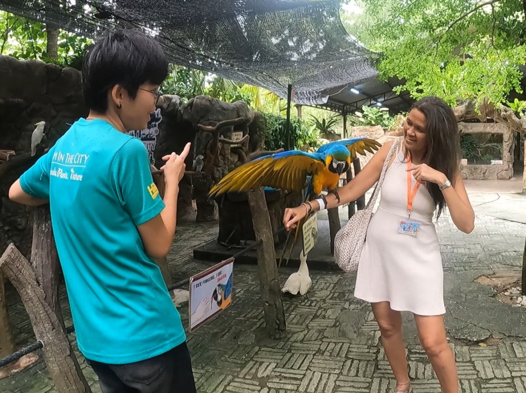 Farm in the city Selangor