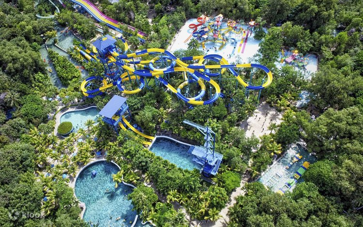 things to do in Penang Island